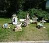 DSC01141.JPG
